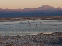 B111050ATA LakeChaxaSunset