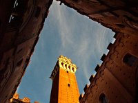 B309417 Piazza del Campo