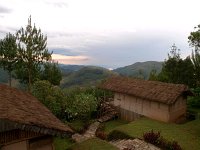 9108454 GorillaMistCamp