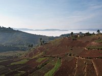 9117612 Farmland