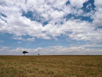 9047101 MasaiMara