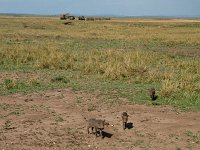 9047157 Airstrip