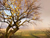 A151966-MAY Rainbow-Web