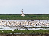 A162081-MAY Landing-Web
