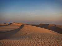 9190760Desert01