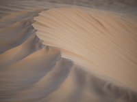 9190913Desert02