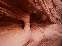 SpookyGulch A042537